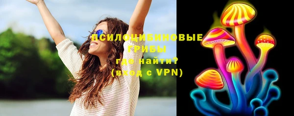 индика Богородск