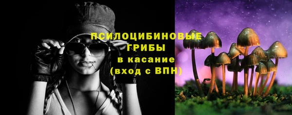 крисы Бронницы
