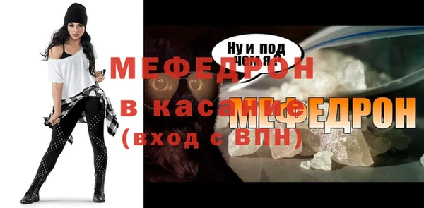 индика Богородск