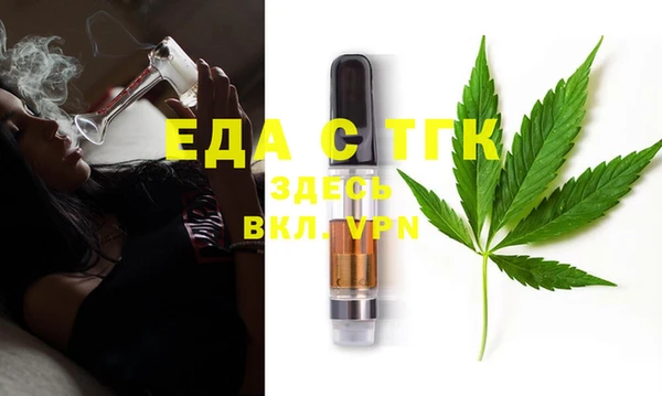 индика Богородск