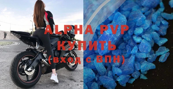 индика Богородск