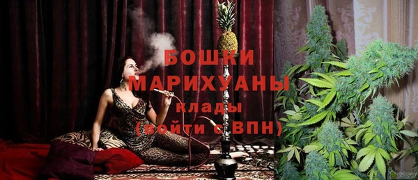крисы Бронницы