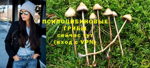индика Богородск