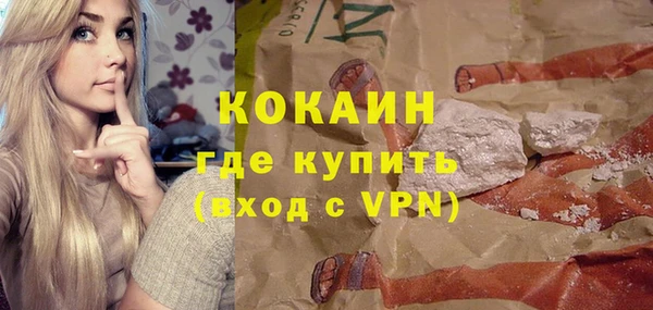 индика Богородск