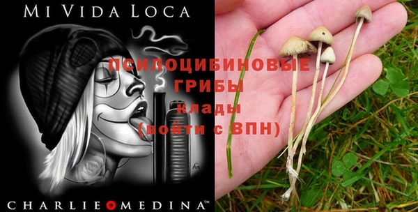кокаин перу Белокуриха