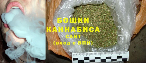 индика Богородск