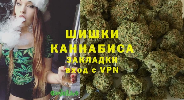 спиды Бородино
